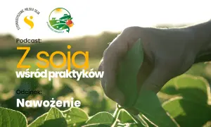Podcast "Z soją wśród praktyków" o nawożeniu. Dłoń rolnika bada liście soi na polu.