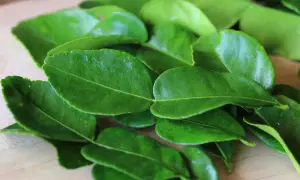 Garść świeżych, zielonych liści kaffiru, ułożonych na drewnianej desce, gotowych do dodania aromatu do potraw.