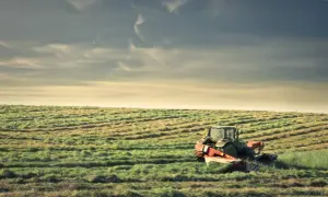 Traktor kosi trawę na polu. To obraz dziedziczenia ziemi rolnej przez nie rolnika, który musi nauczyć się pracy na roli.