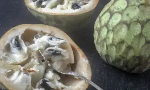 Dwa przekrojone owoce cherimoya, jeden z widelcem, ukazują kremowy miąższ i czarne pestki. Ich słodki, tropikalny smak kusi.