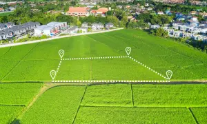 Zielona działka ryżowa z zaznaczonym obszarem, obok zabudowania. Czy to akr, co to za powierzchnia?