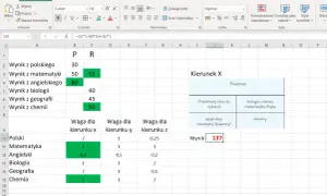Arkusz kalkulacyjny Excel z wynikami i wagami przedmiotów do wyboru kierunku studiów. Obliczanie ekoschematy punkty.