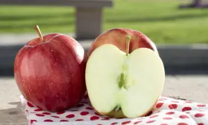 Dwa czerwone jabłka, jedno przekrojone na pół, leżą na materiale w czerwone kropki. Czy jabłko to cytrus? Nie, to nie jest cytrus.