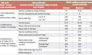 Tabela z danymi dotyczącymi cyklu produkcyjnego bydła, masy ciała i wieku w różnych sezonach.