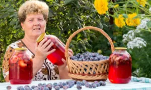 Starsza pani prezentuje domowy kompot ze śliwek, podkreślając jego zdrowotne właściwości. W tle kosz pełen śliwek i słoje z przetworami.