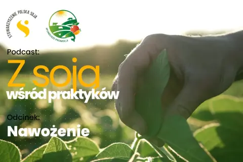 Podcast "Z soją wśród praktyków" o nawożeniu. Dłoń rolnika bada liście soi na polu.