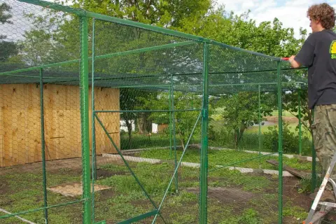 Osoba na drabinie buduje zieloną wolierę dla gołębi z drewnianą ścianą.