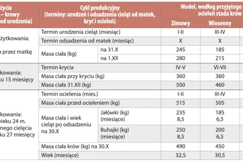 Tabela z danymi dotyczącymi cyklu produkcyjnego bydła, masy ciała i wieku w różnych sezonach.