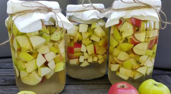 Trzy słoje z jabłkami, przygotowywane do produkcji octu. Słoje przykryte są papierem i sznurkiem.