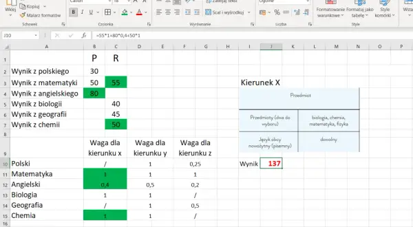 Arkusz kalkulacyjny Excel z wynikami i wagami przedmiotów do wyboru kierunku studiów. Obliczanie ekoschematy punkty.