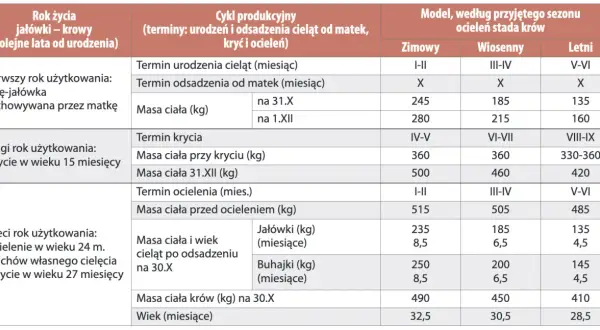 Tabela z danymi dotyczącymi cyklu produkcyjnego bydła, masy ciała i wieku w różnych sezonach.