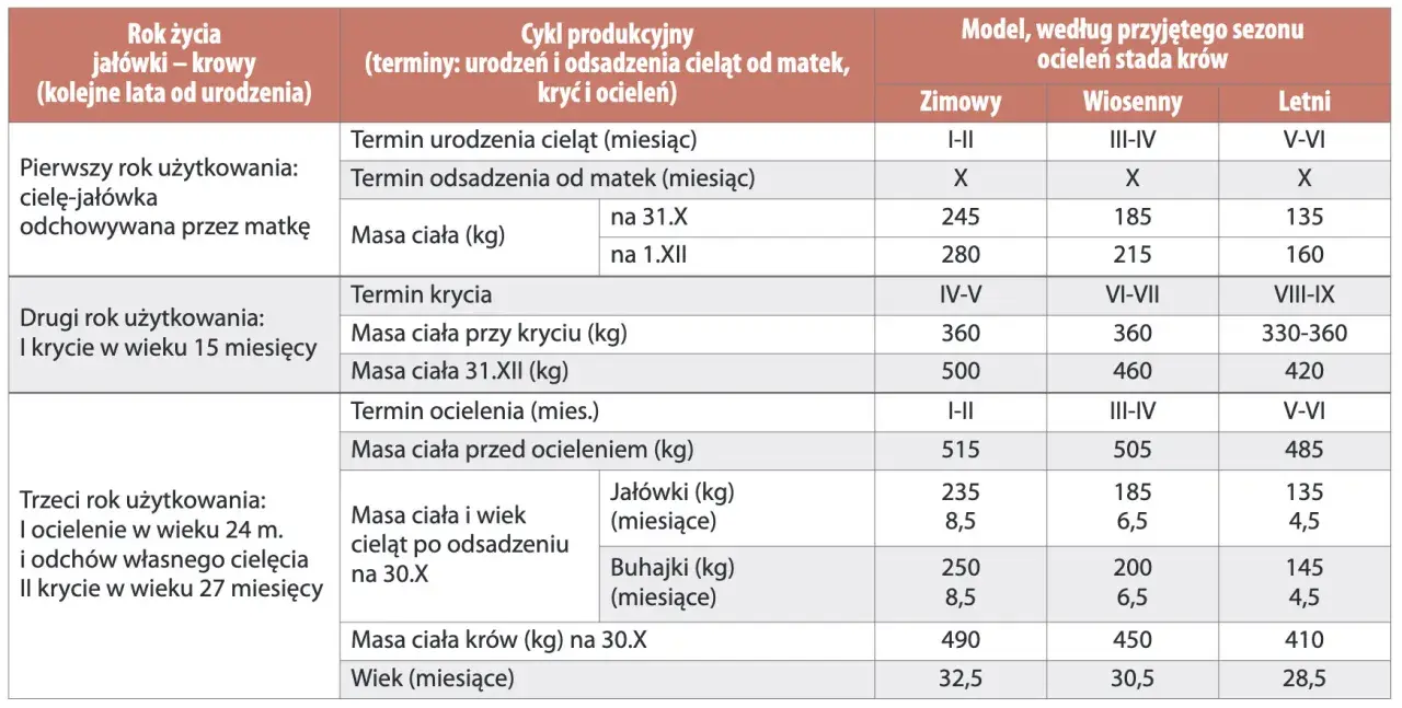 Tabela z danymi dotyczącymi cyklu produkcyjnego bydła, masy ciała i wieku w różnych sezonach.