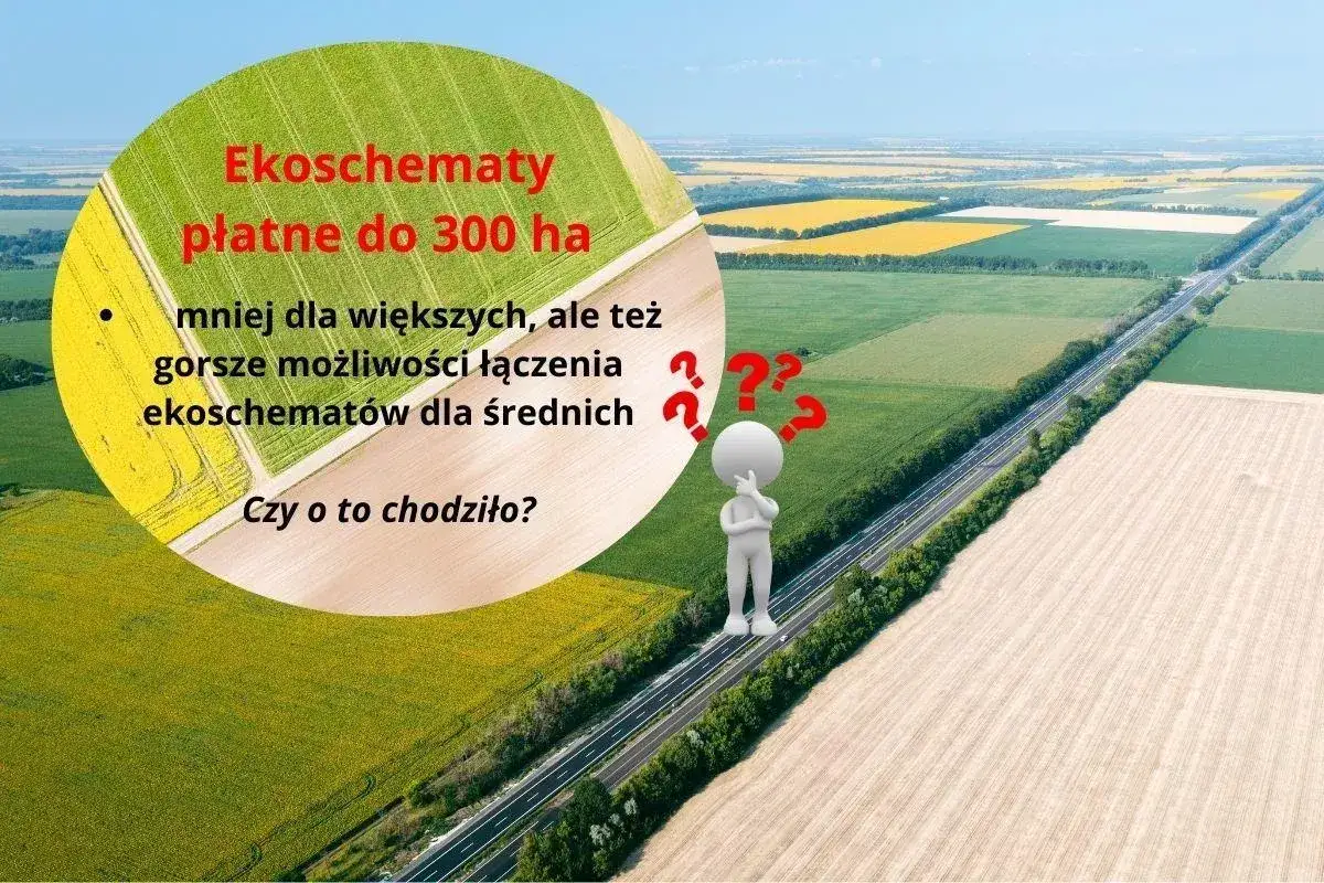 Ekoschematy płatne do 300 ha: mniej dla większych, gorsze możliwości łączenia dla średnich. Czy o to chodziło?