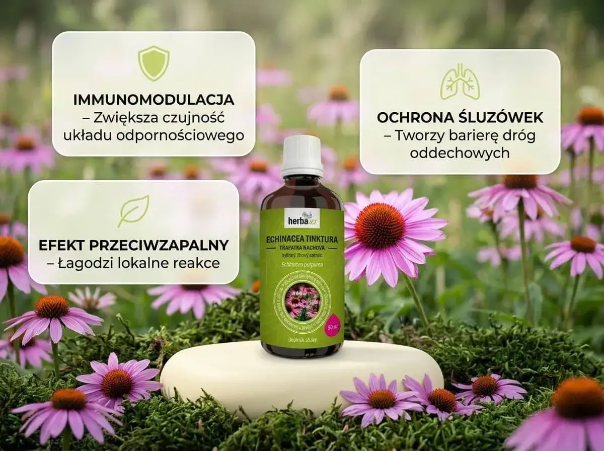 Butelka nalewki z jeżówki na tle kwitnących echinacei. Produkt wspiera odporność i łagodzi stany zapalne.