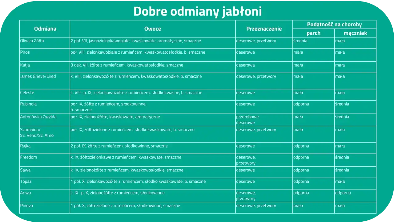 Tabela porównująca wczesne odmiany jabłoni: ich cechy, przeznaczenie i odporność na choroby.