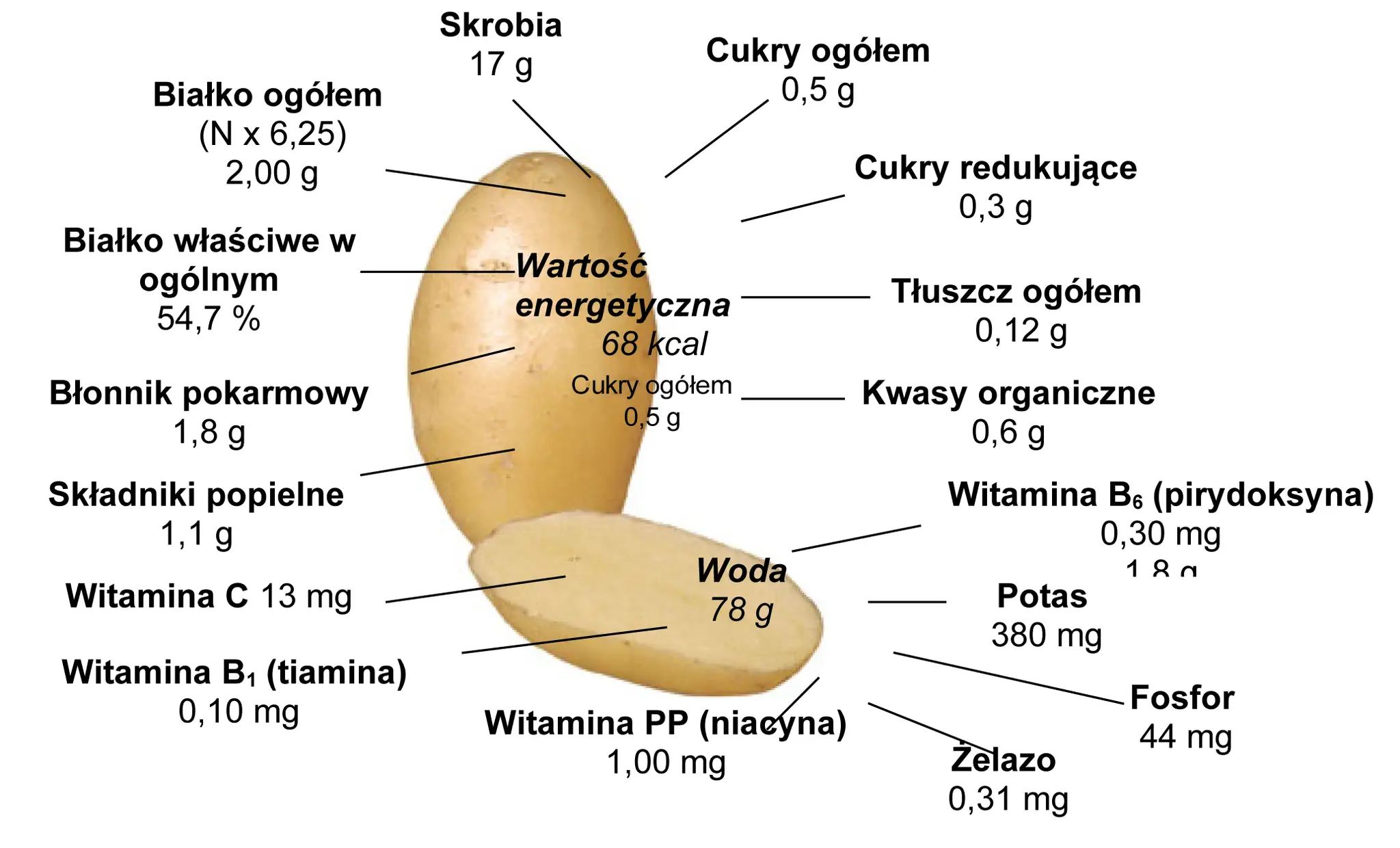 Schematyczny przekrój bulwy ziemniaka z zaznaczonymi wartościami odżywczymi: skrobia, białko, błonnik, witaminy, minerały i kalorie.