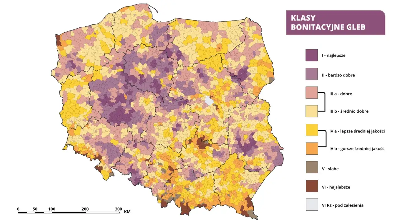 Mapa Polski z podziałem na klasy bonitacyjne gleb. Kolory wskazują jakość ziemi, od najlepszych (fioletowy) do najsłabszych (brązowy). Pozwala to sprawdzić klasę ziemi po numerze działki.