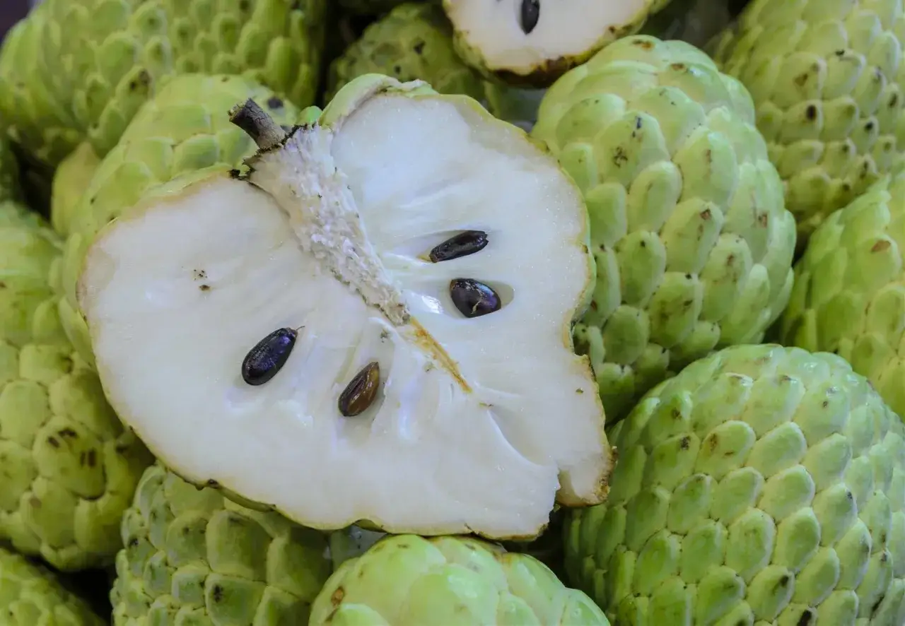 Cherimoya owoc, przekrojony na pół, ukazuje kremowe wnętrze z ciemnymi nasionami. Otoczony przez inne zielone owoce.