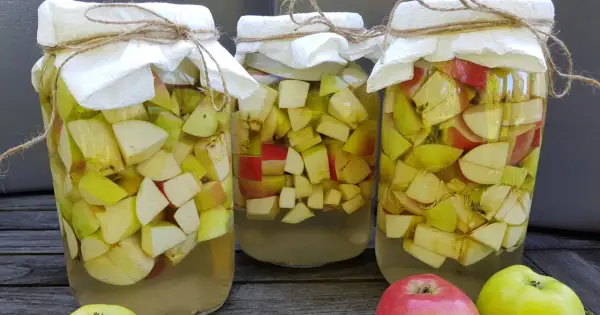 Trzy słoje z jabłkami, przygotowywane do produkcji octu. Słoje przykryte są papierem i sznurkiem.