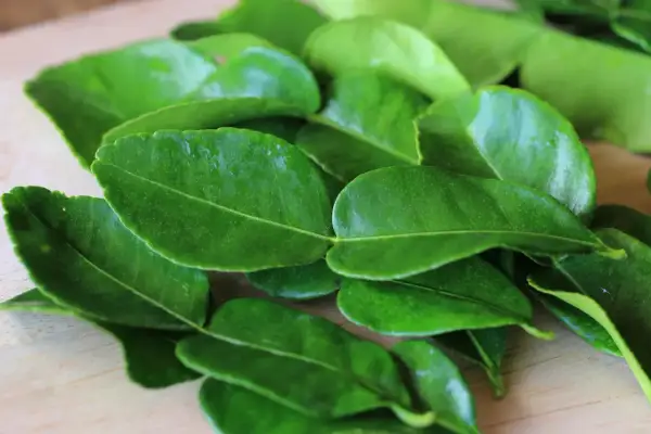 Garść świeżych, zielonych liści kaffiru, ułożonych na drewnianej desce, gotowych do dodania aromatu do potraw.
